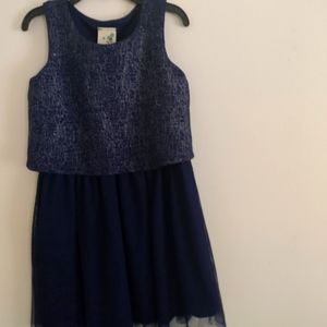 Little Girl's Navy Blue Dress